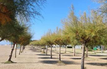 Beachfront apartment Plaza - Photo 32