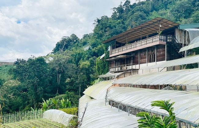 The Retreat sunrise view Cameron highlands - Photo 36
