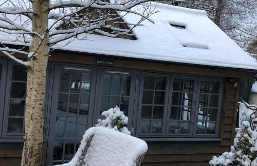 Truffle Lodge - Foto 13
