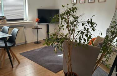 Savón#2 - Innenstadt Netflix-Küche-Parking-WLAN-KingSizeBett-Loggia - Foto 10