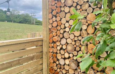 Coedydd - Woods - Foto 22