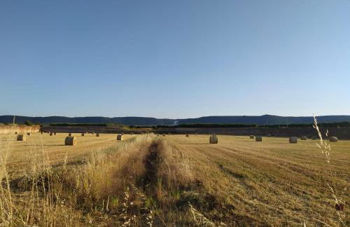 Dimora Algano Apartment - Foto 46