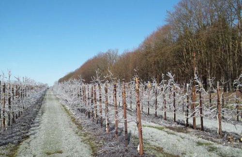 Ferienwohnung Batram - Photo 10