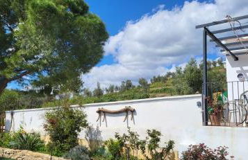 Casa de Andres - Foto 22