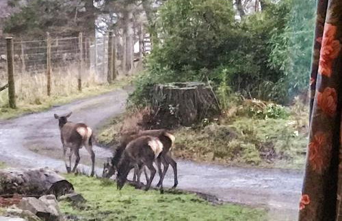 An T'abhall - Foto 13