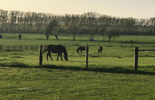Ferienresidenz am Salzhaff - Foto 44