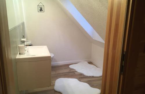 Deluxe Holiday Zdrojowa -Willa typu Alpejskiego w Borach Tucholskich-Całoroczna Balia z jacuzzi-Prywatny las i strumyk -Duża Wiata grillowa - Foto 20