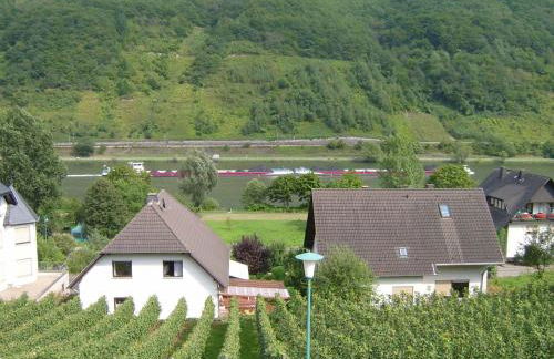 Moselblick - Foto 13