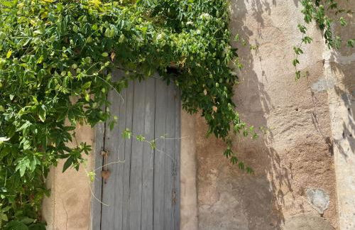 Le Chai des Tuileries - Foto 48
