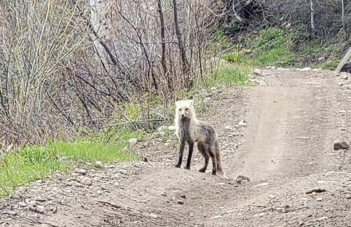 The Eagle's Nest - Foto 11