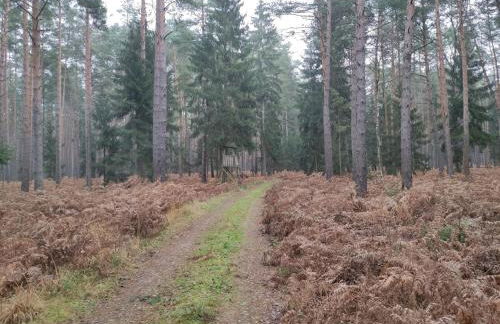 Ferienhaus Erna - Foto 48