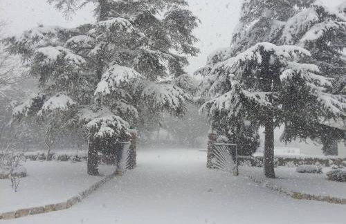 La Ferula Bed&Pool - Foto 7