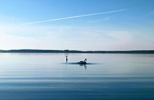 Helenes Ferienwohnung auf dem Bauernhof - Lausitzer Seenland - Foto 50