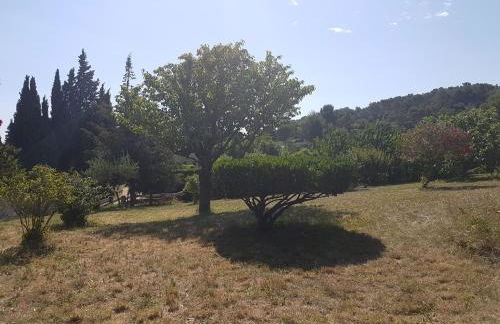 LES 3 HIRONDELLES - Foto 35