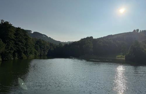 Sauerland Schwalbenhaus in Frenkhausen - Foto 21