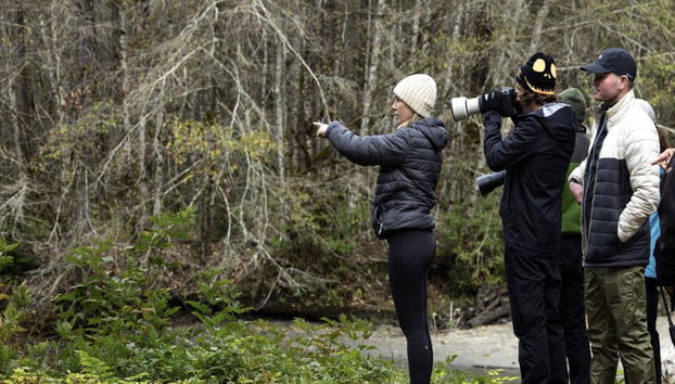 Bute Grizzly - Foto 2