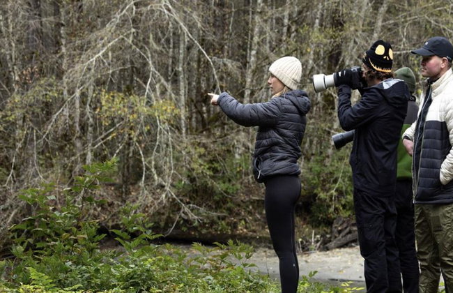 Bute Grizzly - Foto 2