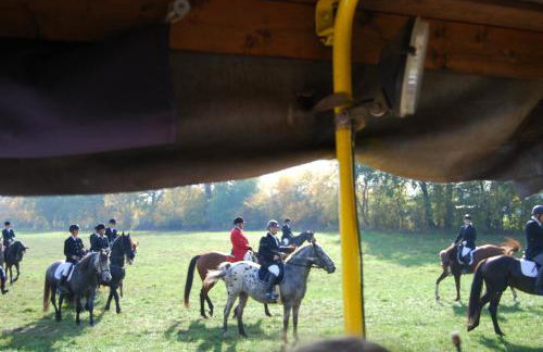 Ferienhaus Zum Pferdestall - Photo 9