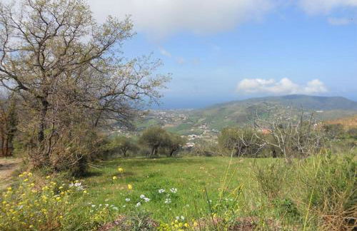 Casale Il Gheppio - Foto 16