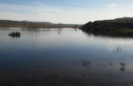 Casa rural L´Amparo -3 espigas- Categoría superior-15 personas - Foto 22