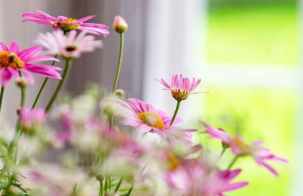 Alte Schule unter Reet- Klassenzimmer - Foto 25
