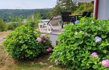 Mrežnica - Zelena oaza - Foto 9