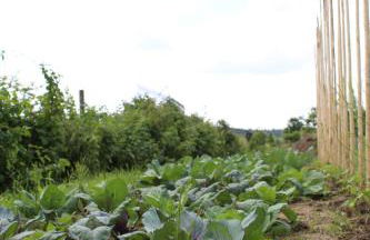 Landhaus Almyssen - Foto 37