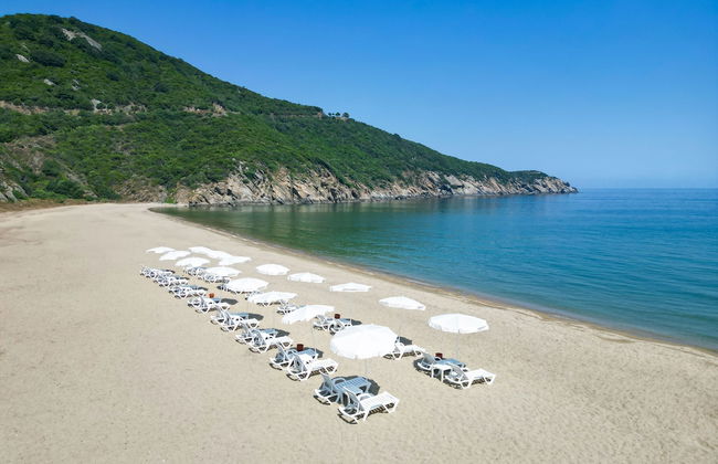 MUKHA ORMANLİ - Photo 38