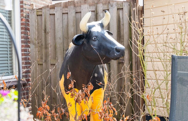 Peaceful Family Home in Elim - Foto 27