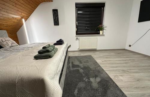 Blick auf den Rhein - Foto 18