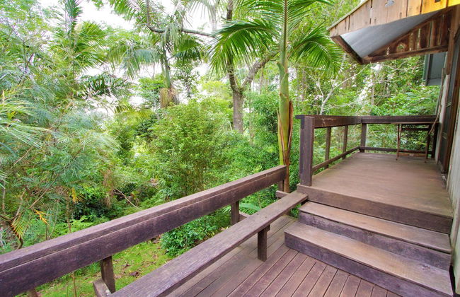 Mt Glorious Getaways - Foto 31