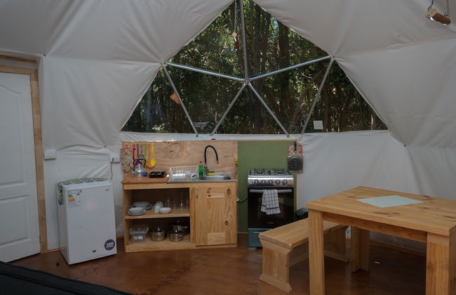 Cabañas Ensenada Bosque Nativo - Foto 16