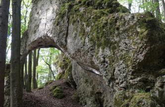 Kleine Ferienwohnung auf dem Land, Haus Hans Stepha - Foto 15