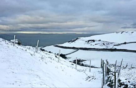 Yr Hen Beudy - Foto 10