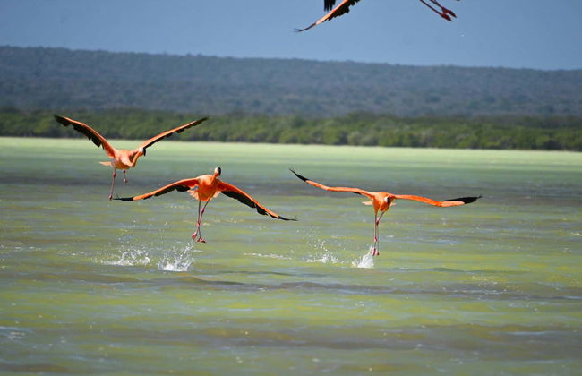 Excursión a la Laguna de Oviedo con avistamiento de flamencos - Foto 4