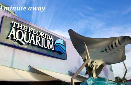 Villa White Rock in Tampa - Photo 72