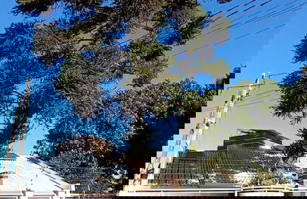 Casa Conforto com Piscina - Photo 37