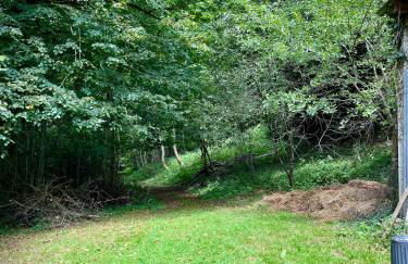 Parenthèse en Forêt - Gîte Baliveau, Sidobre - Photo 28