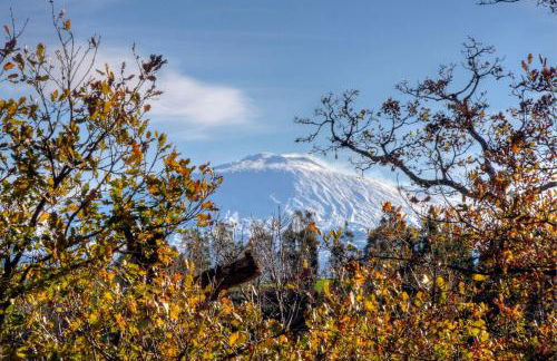 Le Querce di Cota - Foto 76