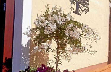 Fleischmannhof Do san ma dahoam - Foto 33