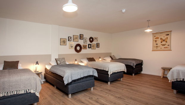 Pet-friendly Mansion - Foto 3, Habitación