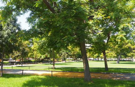 Casa de Maria - Foto 34