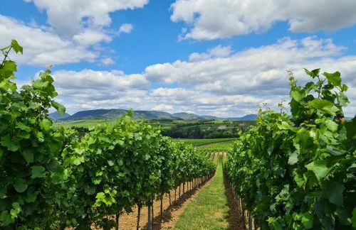 Ferienwohnung Appartement Bad Bergzabern mit Schwimmbad und Sauna - Foto 19