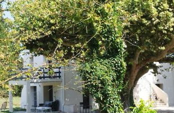 Mas en Provence - Photo 62