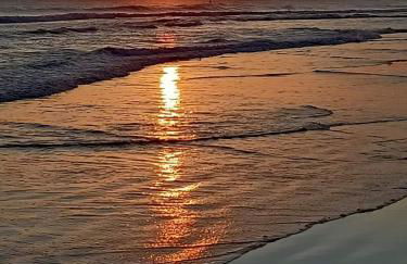 AIRUNNES Atico duplex Zahara primera linea - Photo 46