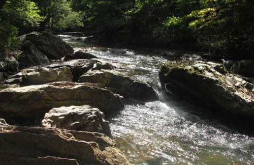 Ostalon de Sénégats - Foto 47