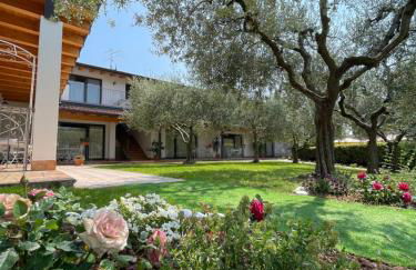 Residence Ulivi - Foto 6