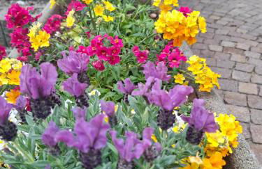 Versigglhof - Foto 75