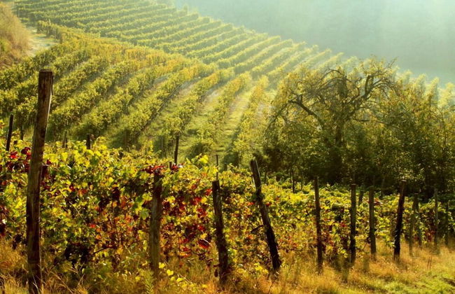 Cascina Desderi - Foto 28