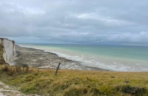 laureclipse2 - Foto 3